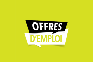 Découvrez toutes nos offres d'emploi